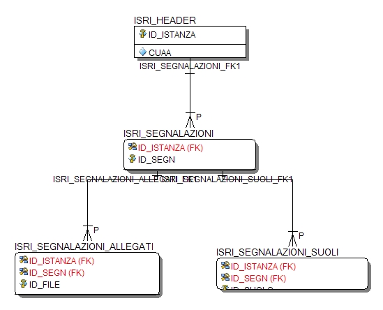 Submodel Istanze Riesame